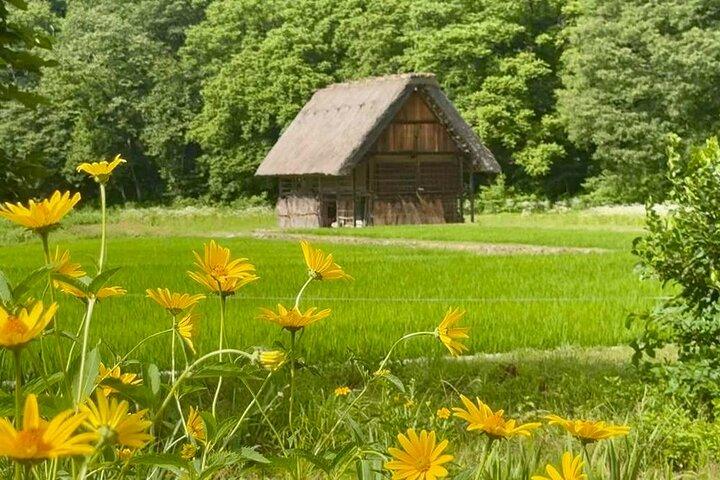 Nagoya Shirakawago and Takayama One Day Tour