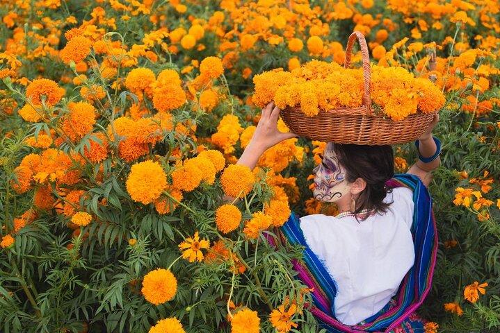 Private Cultural and Gastronomy Tour Full Day Tapatío