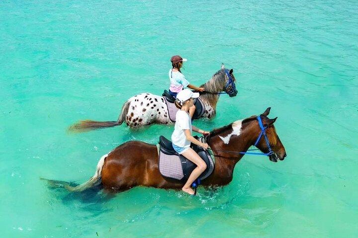 Horse Back Ride and Swimming with Sea Turtles in their Aquarium