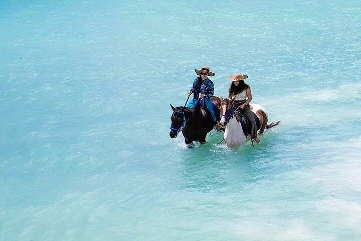Horse Back Ride and Swimming with Sea Turtles in their Aquarium