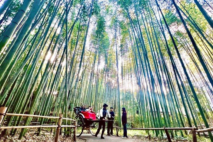 Bamboo Grove Temple and Garden Views Tour