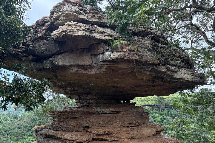 Falls Umbrella Rock Aburi Gardens and Cocoa Farm Day Tour