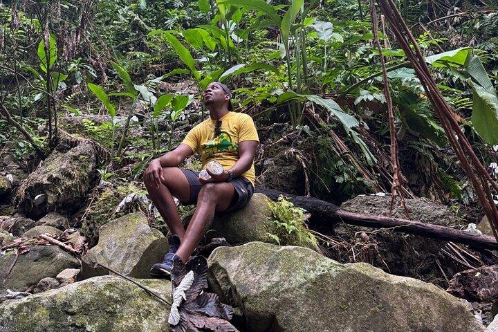 Scenic Hiking Trail Adventure of Montserrat