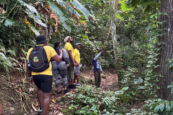 Scenic Hiking Trail Adventure of Montserrat