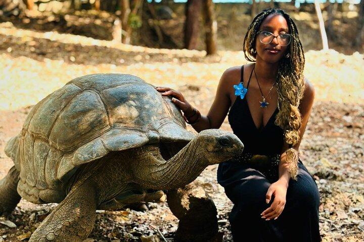 Experience Nakupenda Sandbank & Prison Island Tour Shared Tour