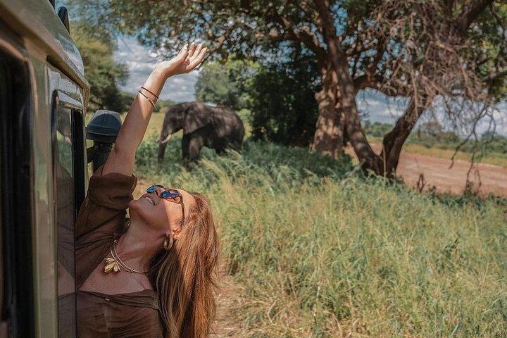 Arusha: 3 Day Serengeti & Ngorongoro Crater - Big Five Safari