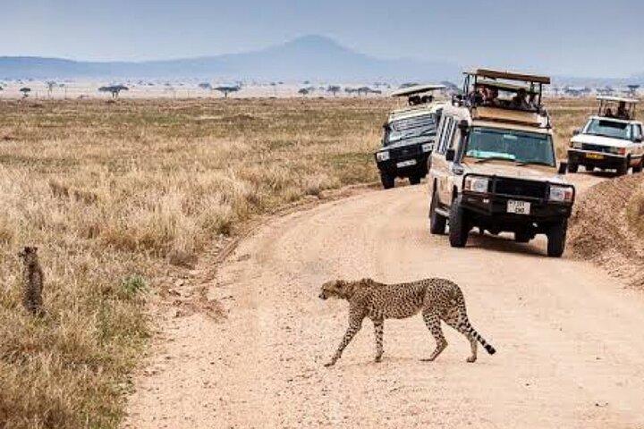 4-Day Tarangire, Serengeti, Ngorongoro Group Camping Safari