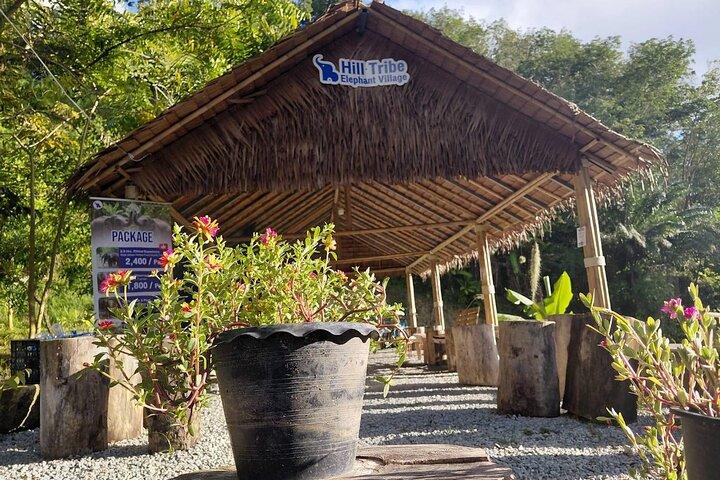 Phuket Guided Tour to Elephant Sanctuary with Hotel Transfers