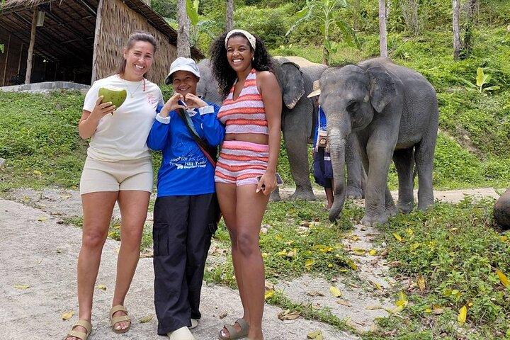 Phuket Guided Tour to Elephant Sanctuary with Hotel Transfers