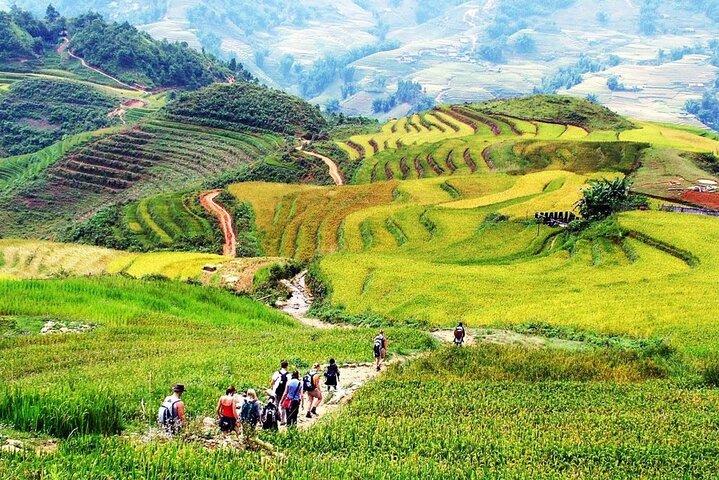 Rice Terraces and Ethnic Villages