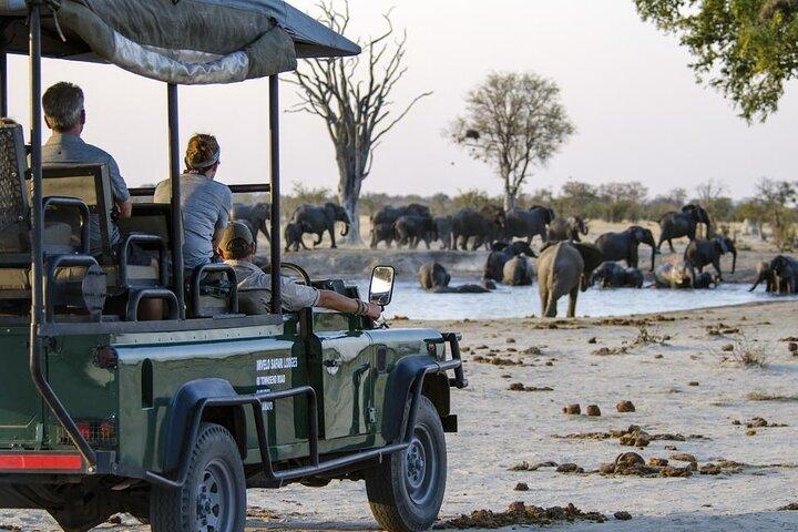 Chobe Full Day Trip from Victoria Falls