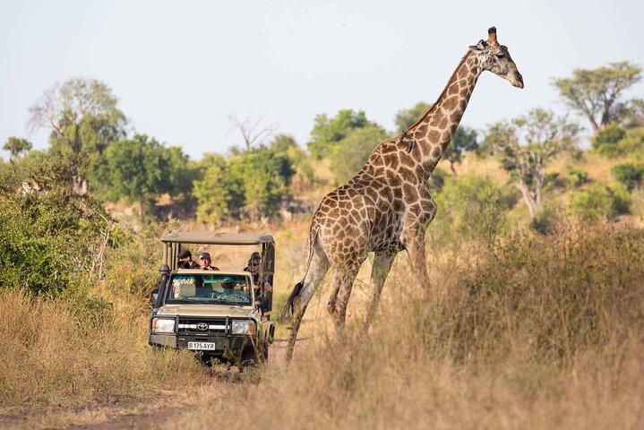 Chobe Full Day Trip from Victoria Falls