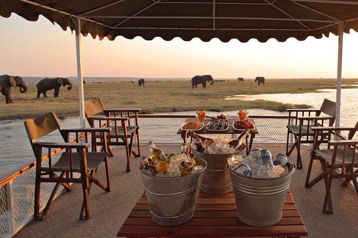 Chobe Full Day Trip from Victoria Falls