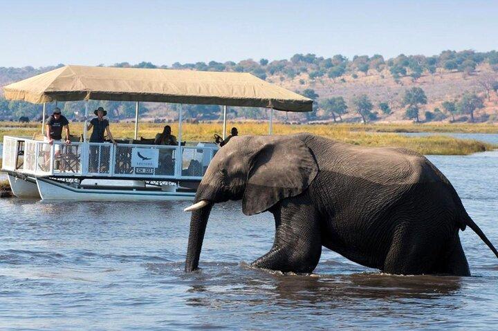 Chobe Full Day Trip from Victoria Falls