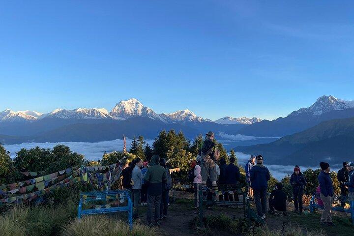 Ghorepani Poon Hill Trek