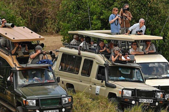 4days Masai Mara and Lake Nakuru Group Joining Budget Safari
