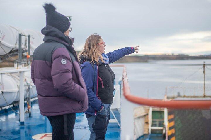 Penguin King and Navigating the Strait of Magellan