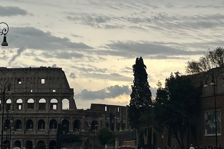 Rome: Colosseum Roman Forum & Palatine Hill guided Tour