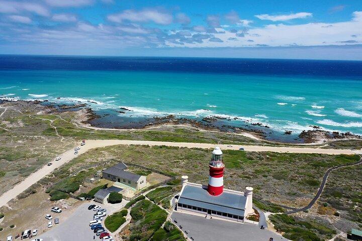 Cape Agulhas with Penguins and Wine Tasting