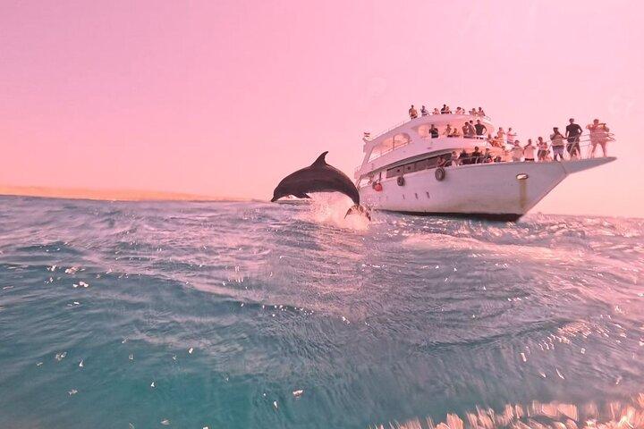 Swim with Dolphins VIP snorkeling Boat Trip with lunch - Hurghada