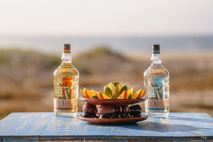 Los Cabos Outback and Camel Safari with Tequila Tasting