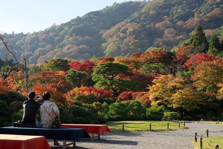 Kyoto's Arashiyama Bamboo Grove: 3-Hour Guided Tour