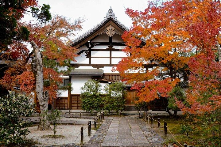 Kyoto's Arashiyama Bamboo Grove: 3-Hour Guided Tour