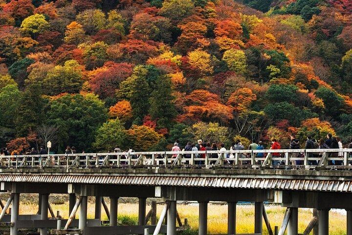 Kyoto's Arashiyama Bamboo Grove: 3-Hour Guided Tour