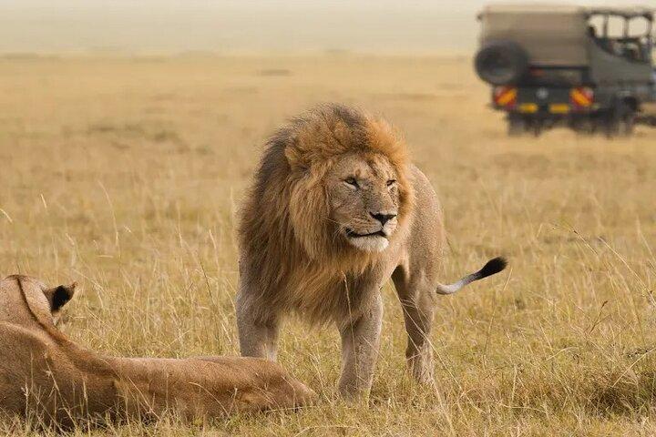 4-Day Safari to Tarangire, Lake Manyara & Ngorongoro Crater
