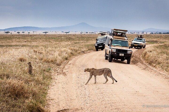 4 Day Serengeti Luxury Tented Safari from Arusha