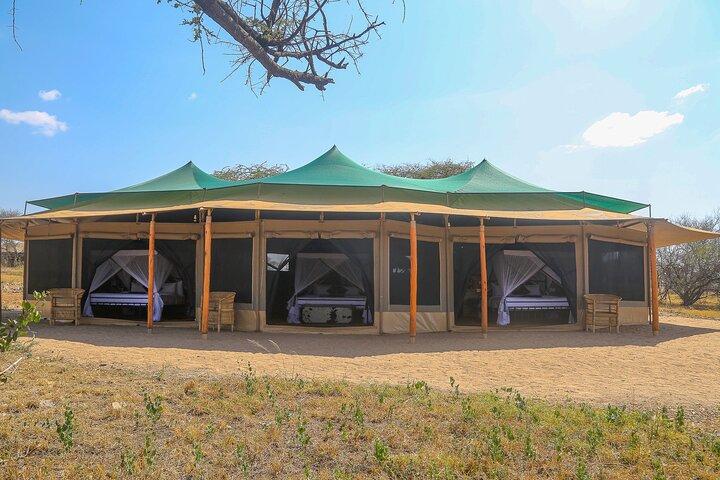 4 Day Serengeti Luxury Tented Safari from Arusha