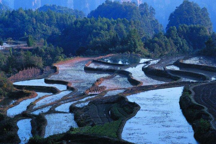 2 Days Honghe Yuanyang Hani Rice Terraces Private Tour