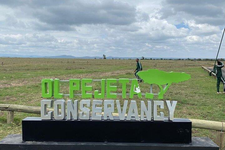 Ol Pejeta Conservancy Daytrip Big Five Safari and Lunch