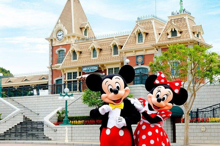 Disneyland Private 2-Way Transfer Service