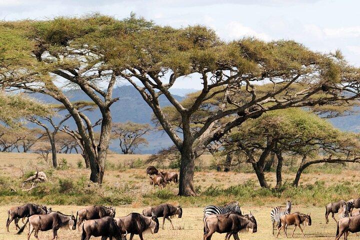 Private Nairobi 6-Day Adventure Package