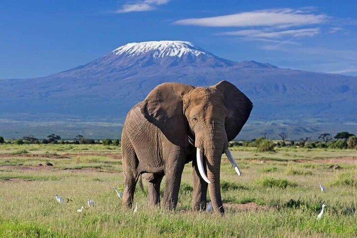 Private Nairobi 6-Day Adventure Package