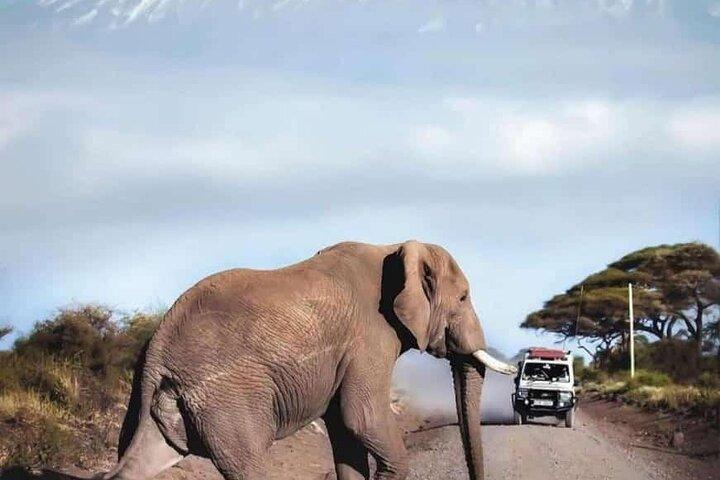 Private Nairobi 6-Day Adventure Package