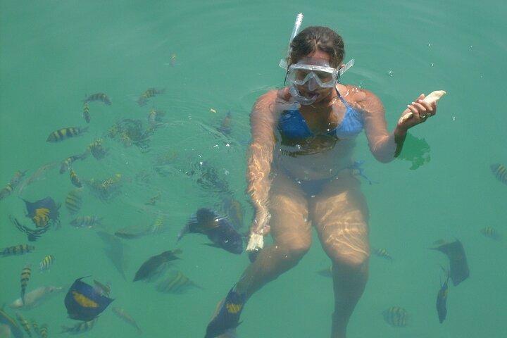 Musandam Khasab Day Trip and Dhow Cruise from Ras Al Khaimah