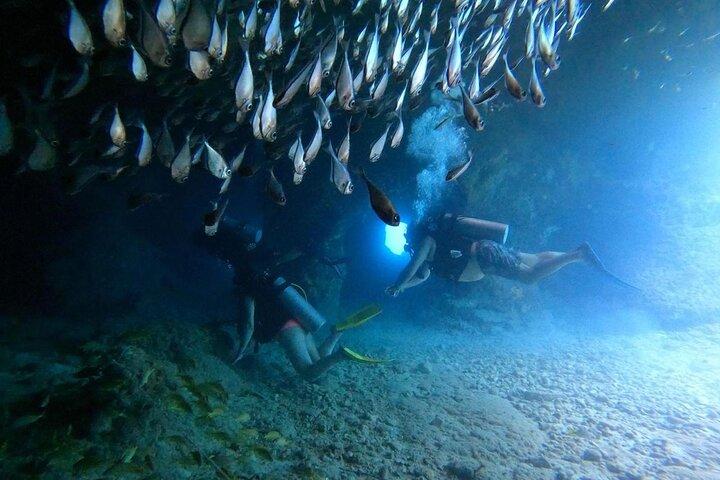 Cozumel Discover Scuba at Chankanaab