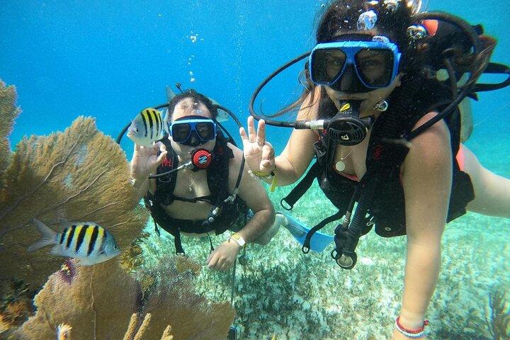 Cozumel Discover Scuba at Chankanaab