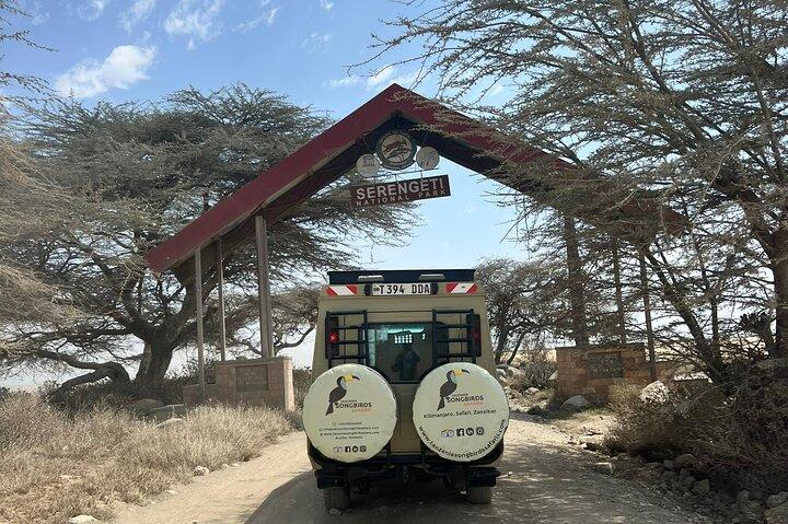 7-Day Big Five & Great Migration: Classic Safari Tanzania.