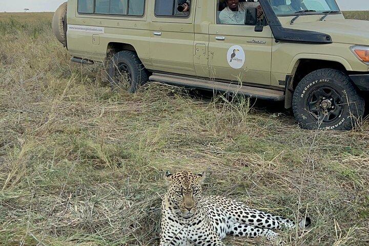 7-Day Big Five & Great Migration: Classic Safari Tanzania.