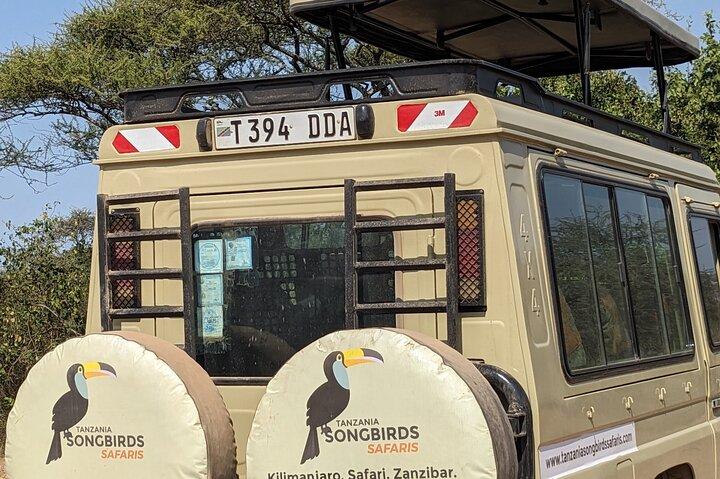 7-Day Big Five & Great Migration: Classic Safari Tanzania.