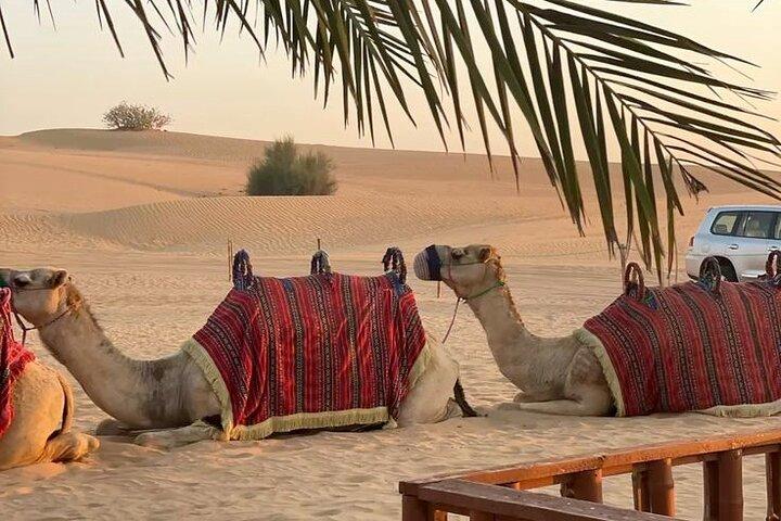 2Hour Quad and Camel Adventure in Marrakech Palmeraie