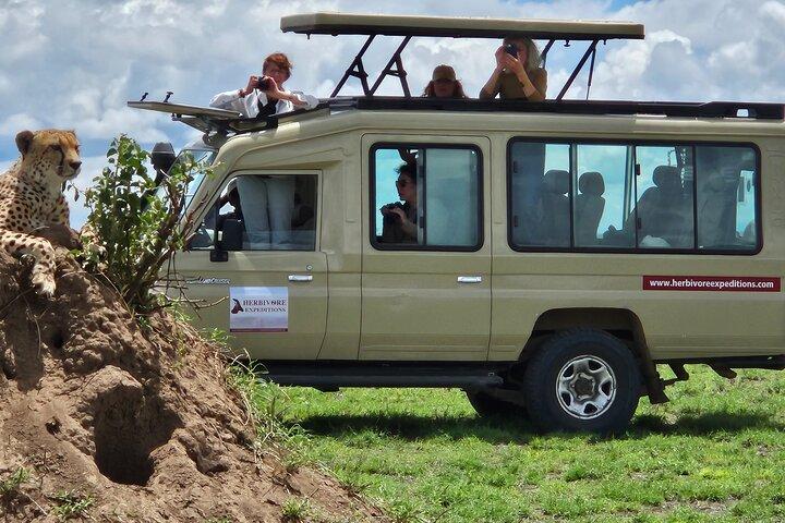 13 Day Ultimate Tanzania Safari