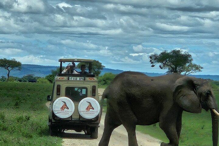 13 Day Ultimate Tanzania Safari