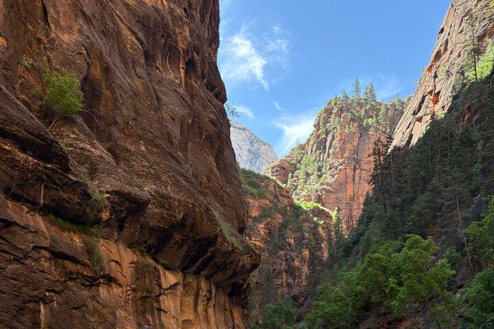 Zion National Park: Private Narrows Hike (gear Included)