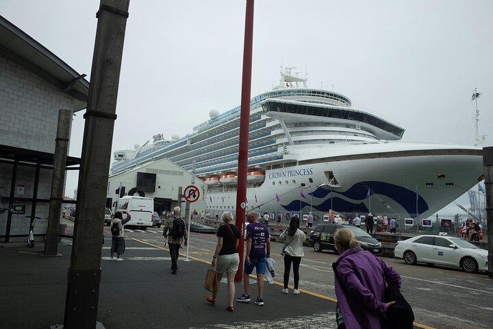 Private Seaport Transfer: London to/from Dover Cruise Terminal