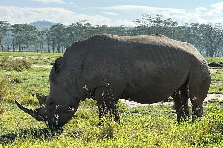 Tarangire day trip