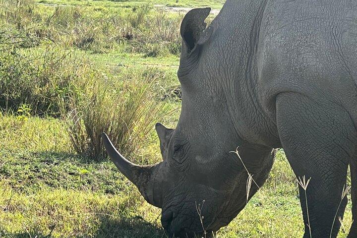 Tarangire day trip